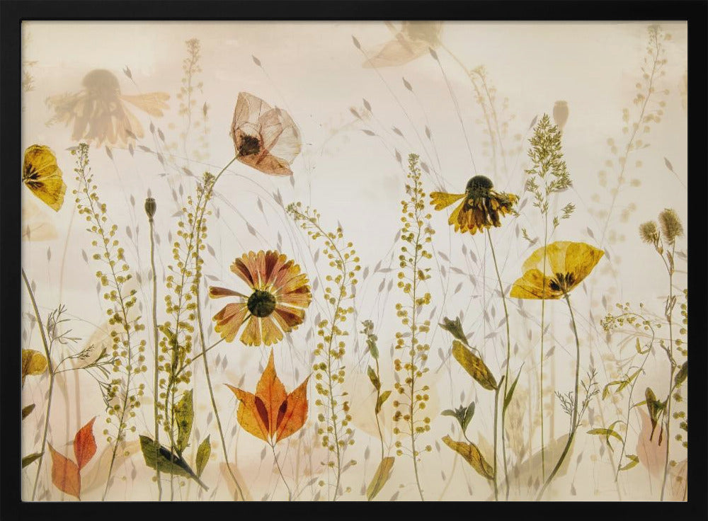 In the field... | Poster