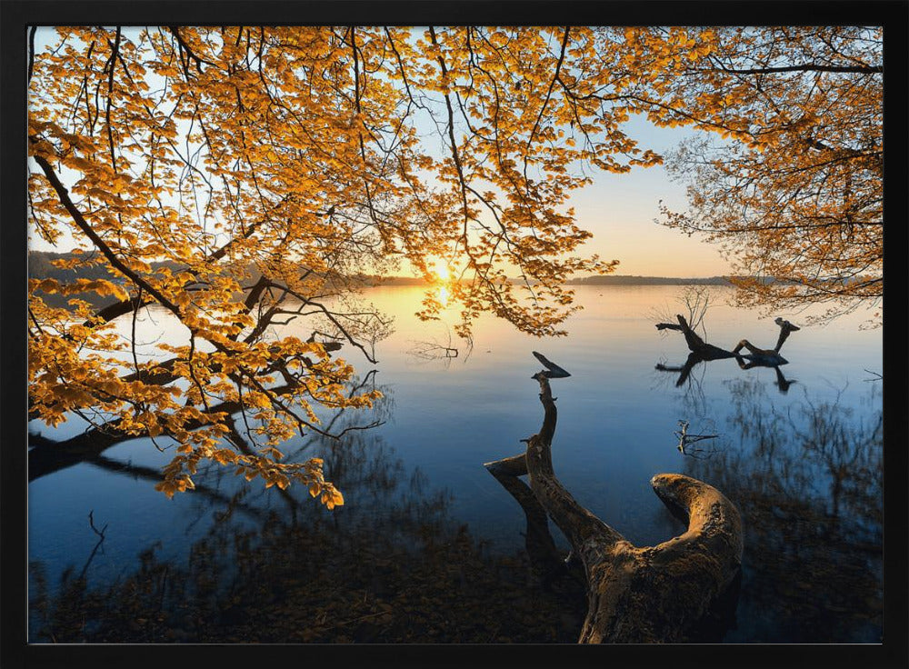 Herbstmorgen | Poster