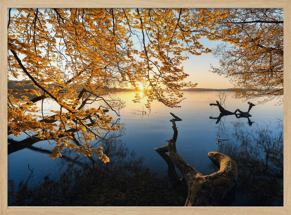 Herbstmorgen | Poster