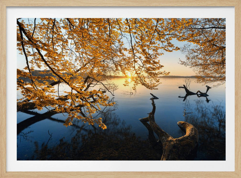 Herbstmorgen | Poster