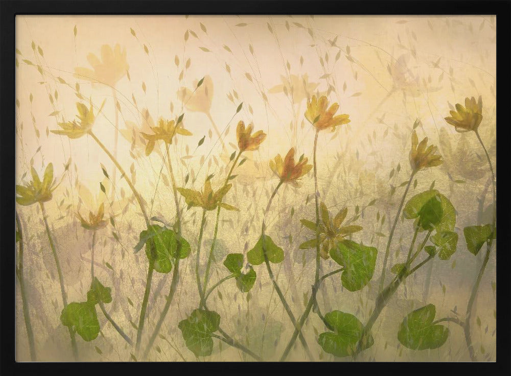 Sonnige Blumen | Poster