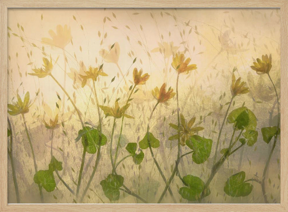Sonnige Blumen | Poster