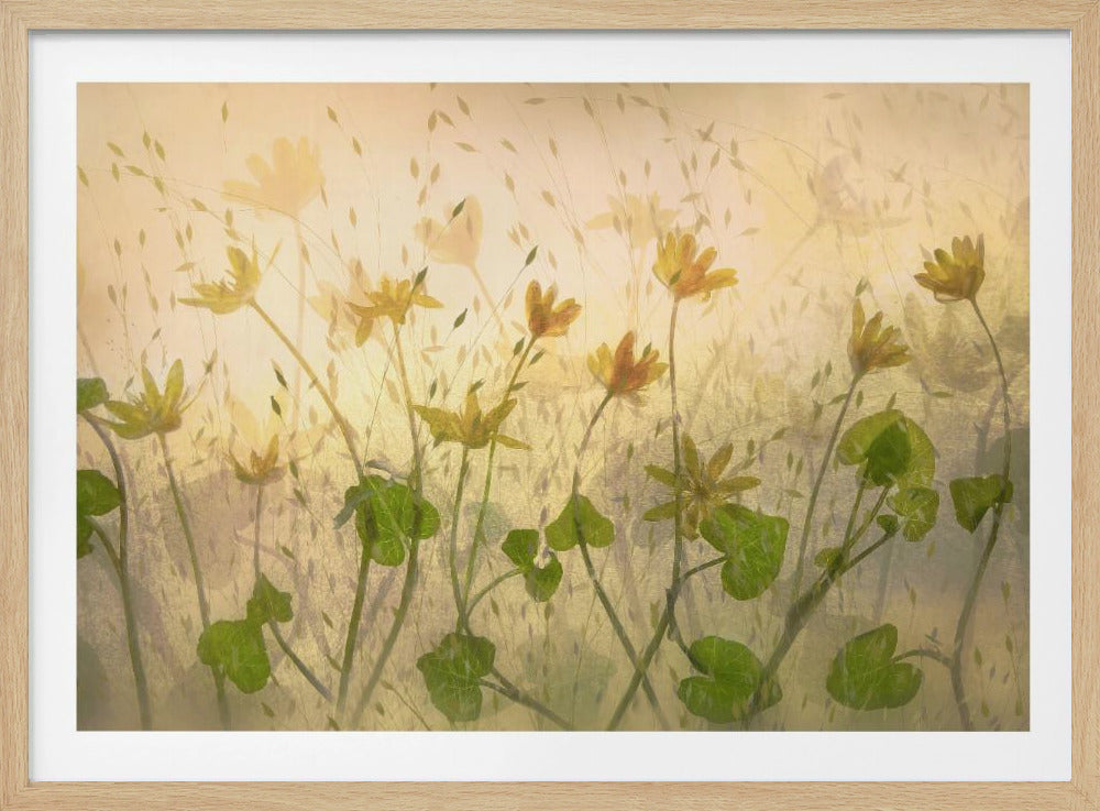 Sonnige Blumen | Poster