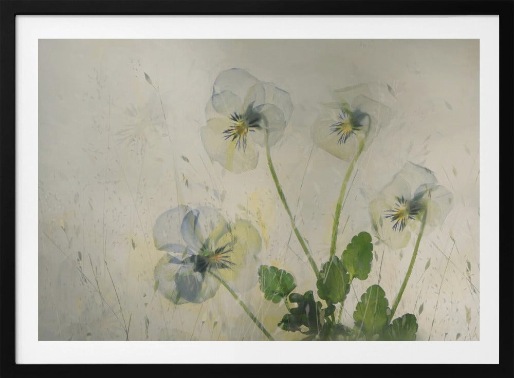 Small violets | Poster