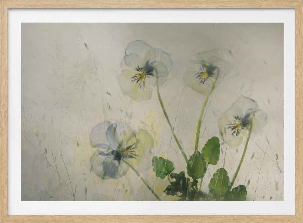 Small violets | Poster