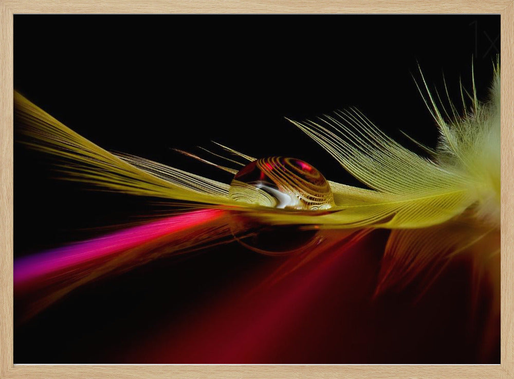 Farben im Tropfen | Poster