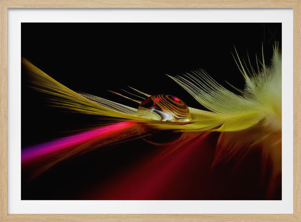 Farben im Tropfen | Poster