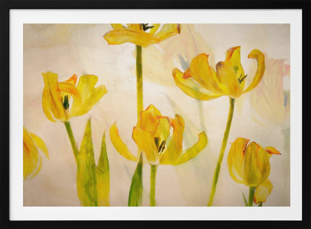 Flowering tulips | Poster