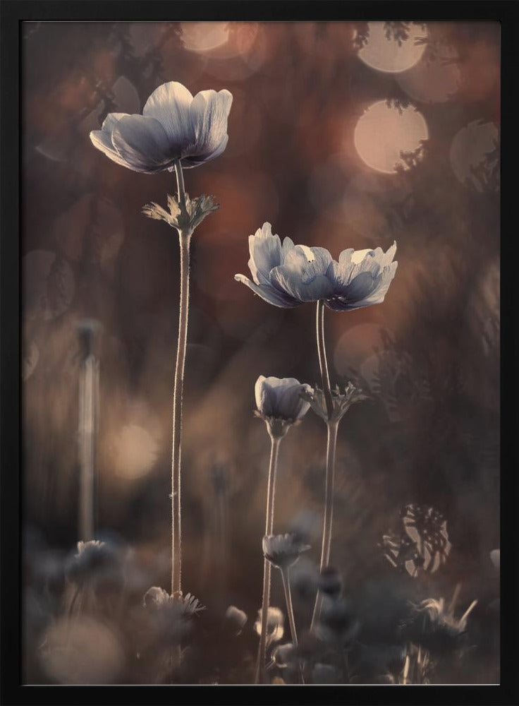 Ensemble | Plakat