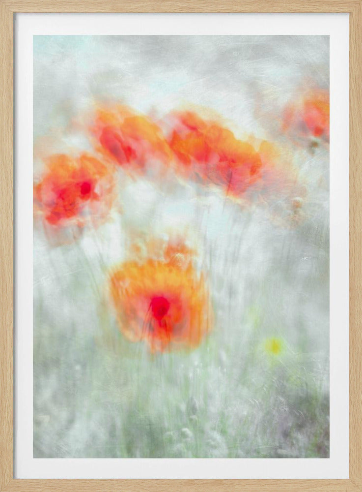 Red Corn Flowers | Poster