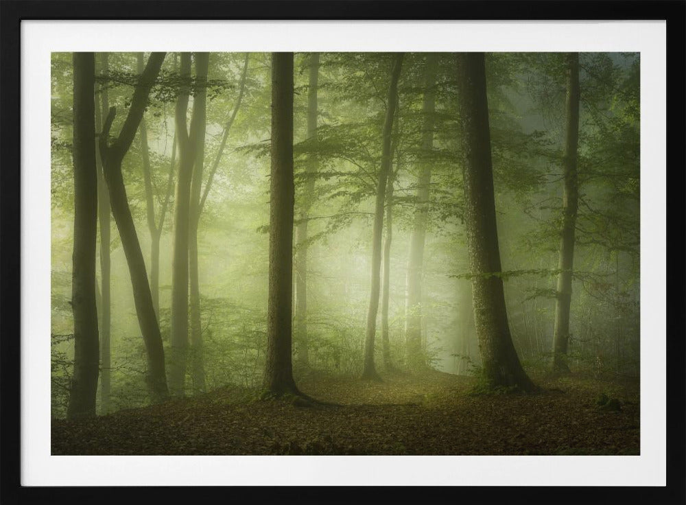 Mysterious Spring Morning | Poster