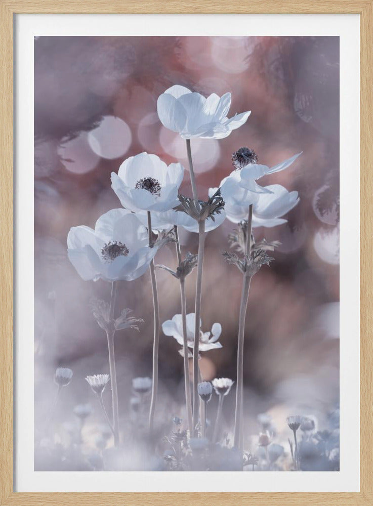 Alle Blumen aller Morgen sind in den Samen von heute | Poster