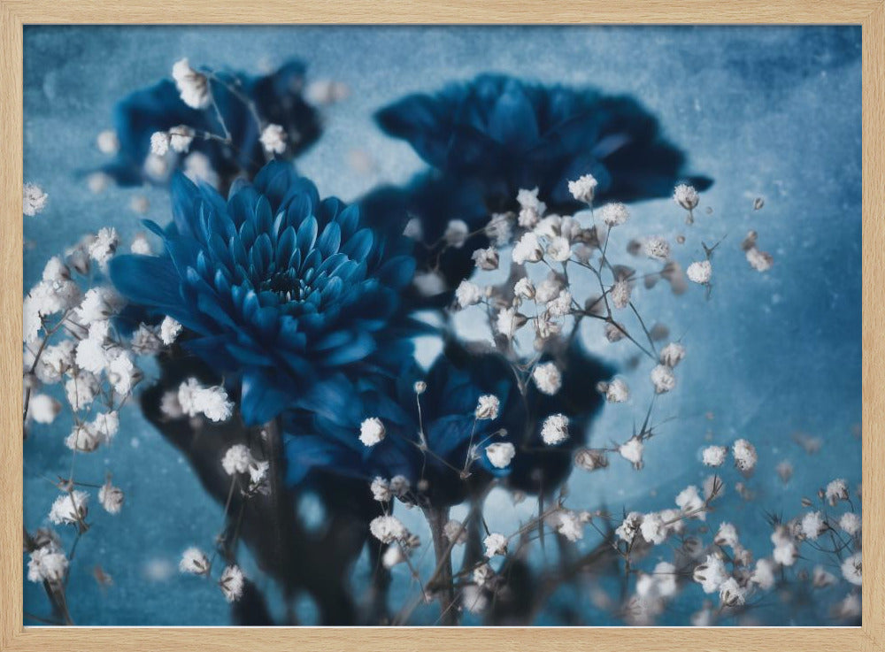 Dahlia | Poster