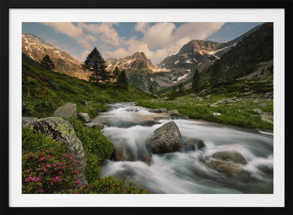 Seealpenpark | Poster