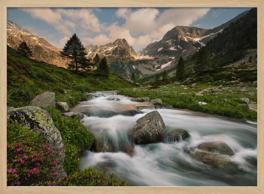 Seealpenpark | Poster