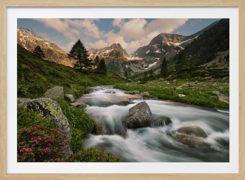 Seealpenpark | Poster