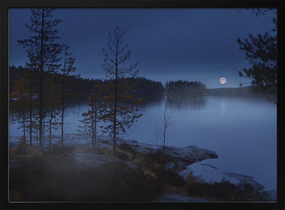 Night mist | Poster