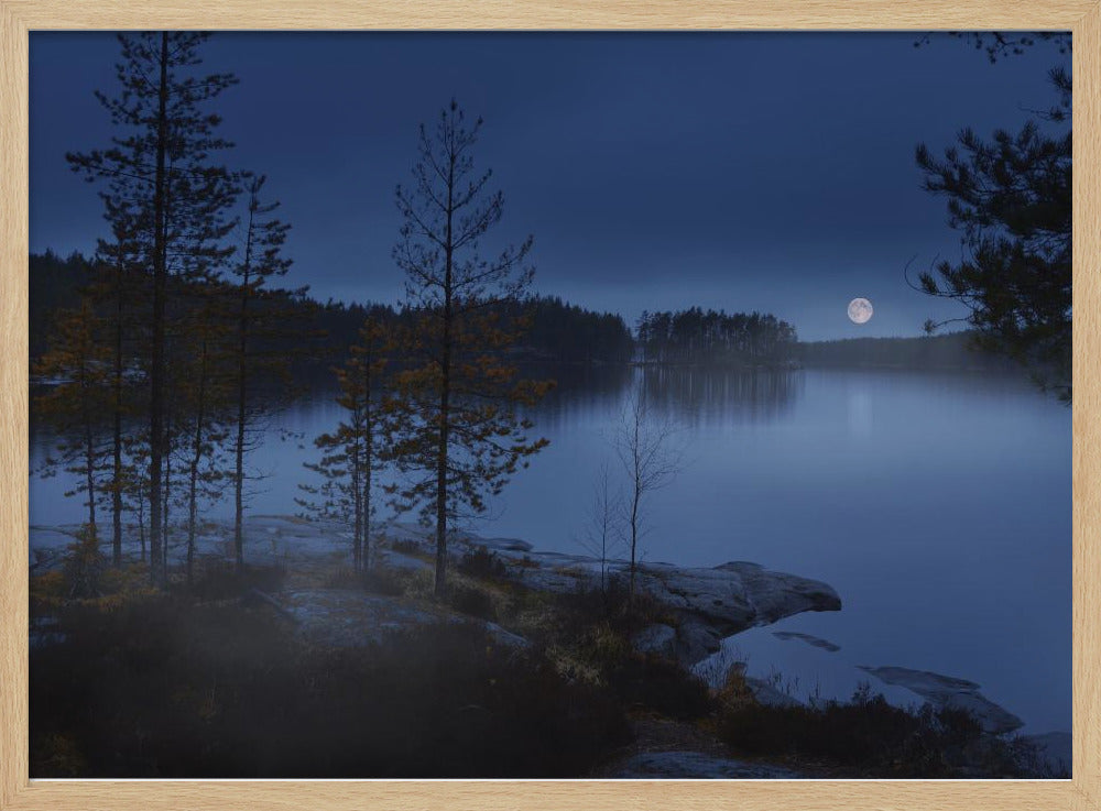 Night mist | Poster