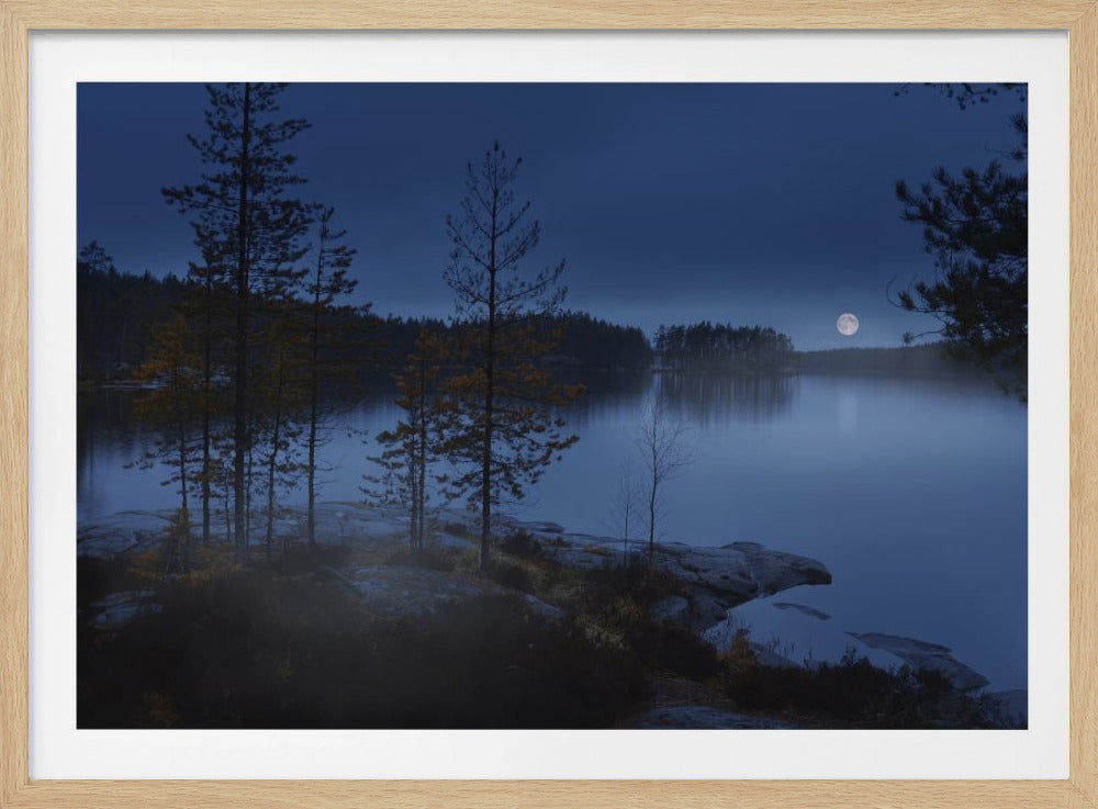 Night mist | Poster