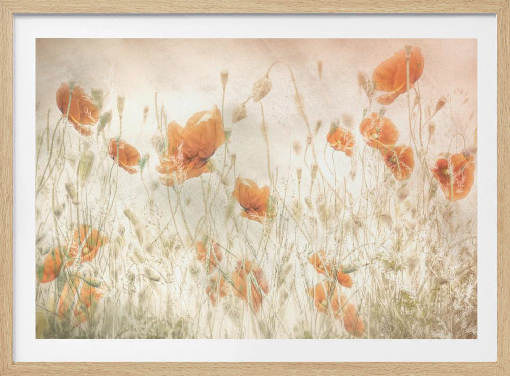 Poppies in the field | Poster