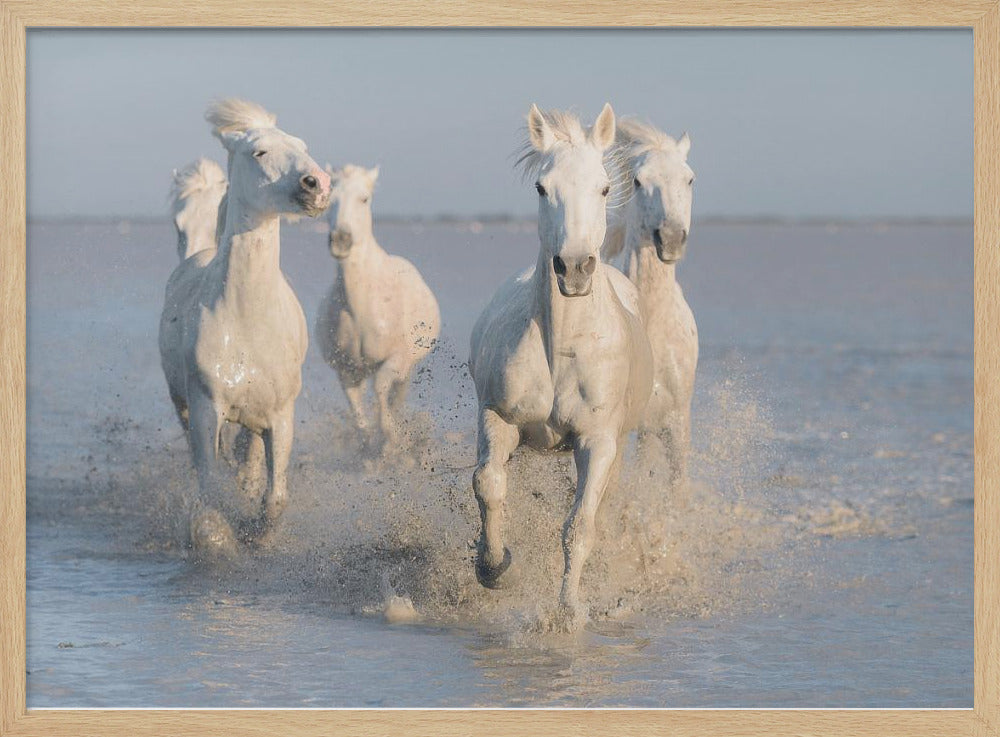 horses | Poster