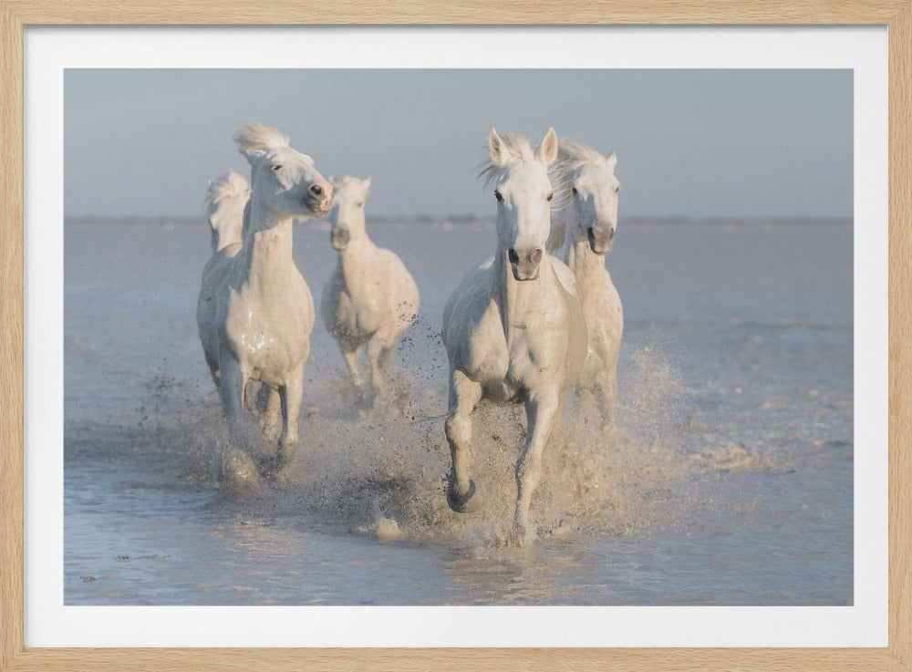 horses | Poster