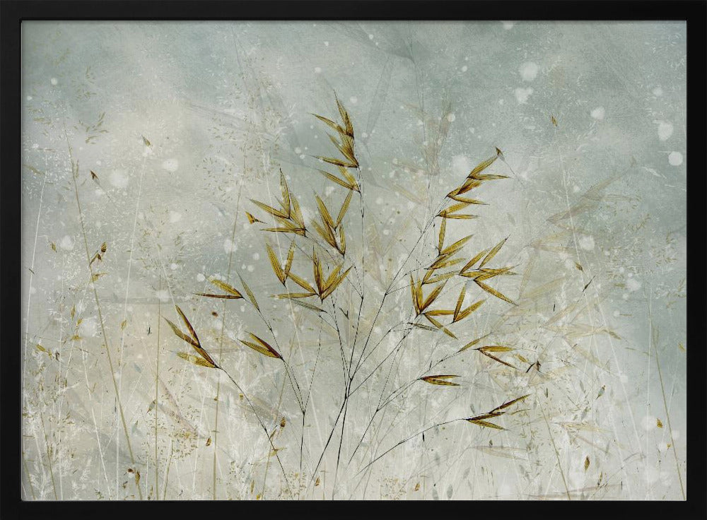 Wintertime | Poster