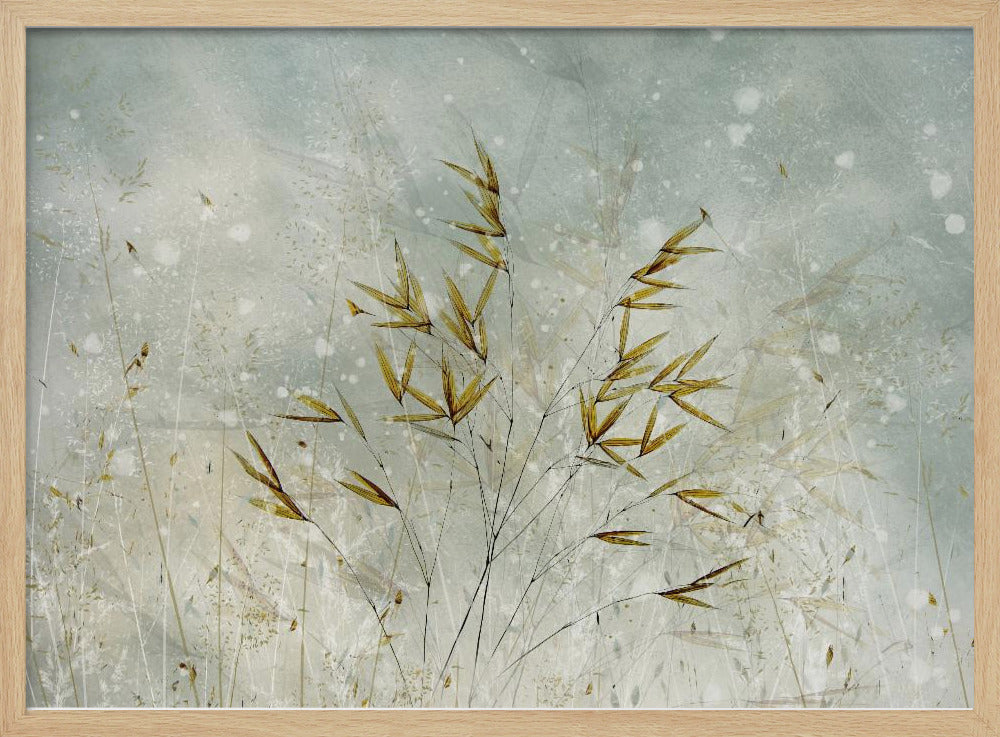 Wintertime | Poster