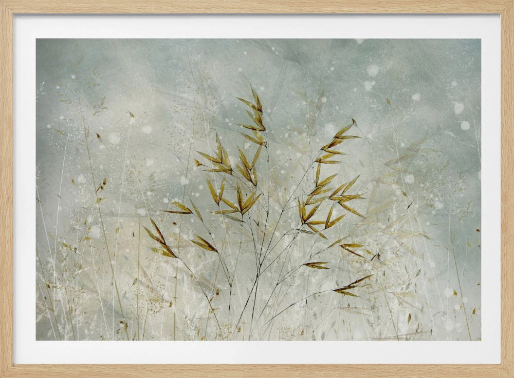 Wintertime | Poster