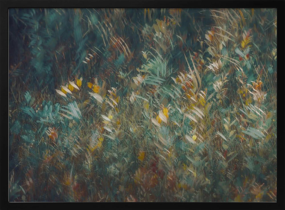 Late summer | Poster