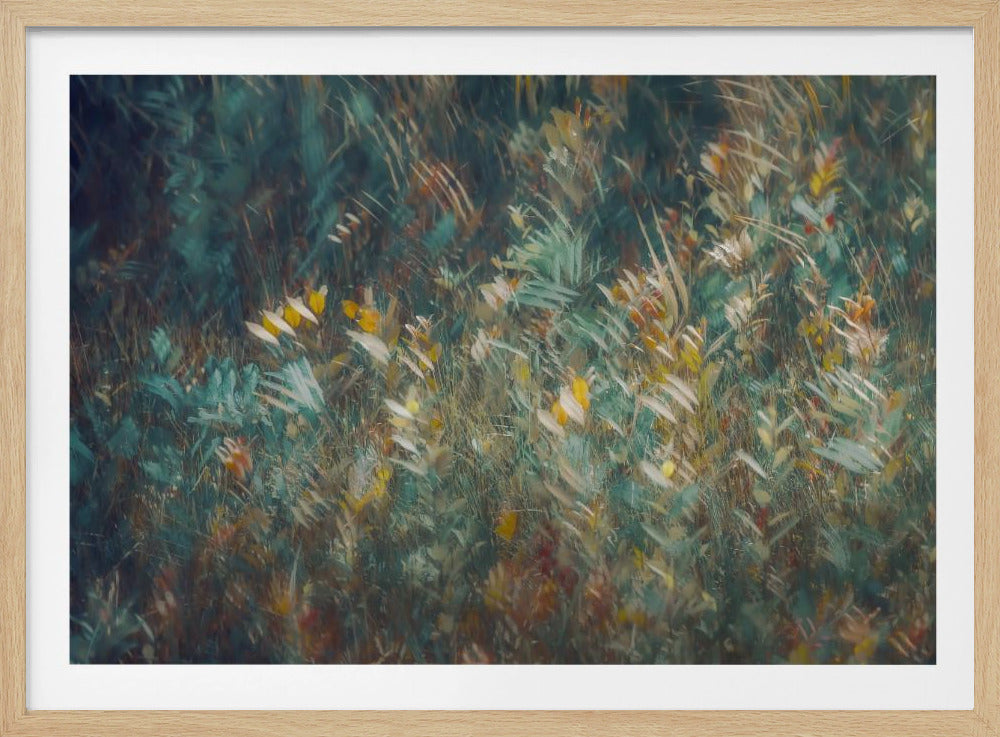 Late summer | Poster