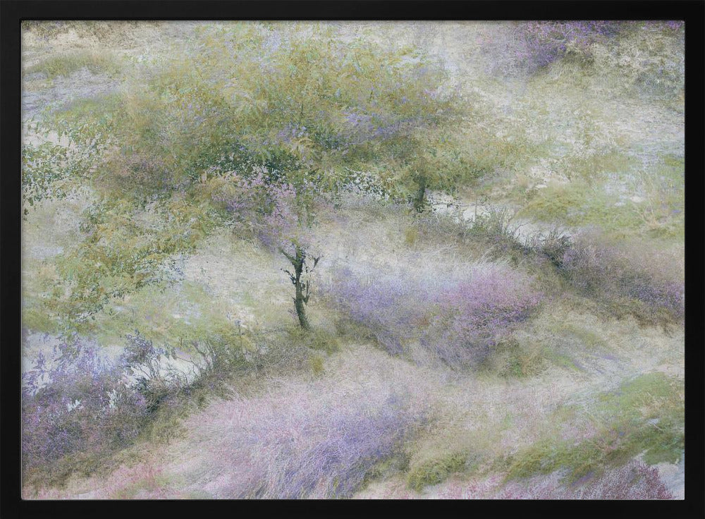 Flowering heather | Poster