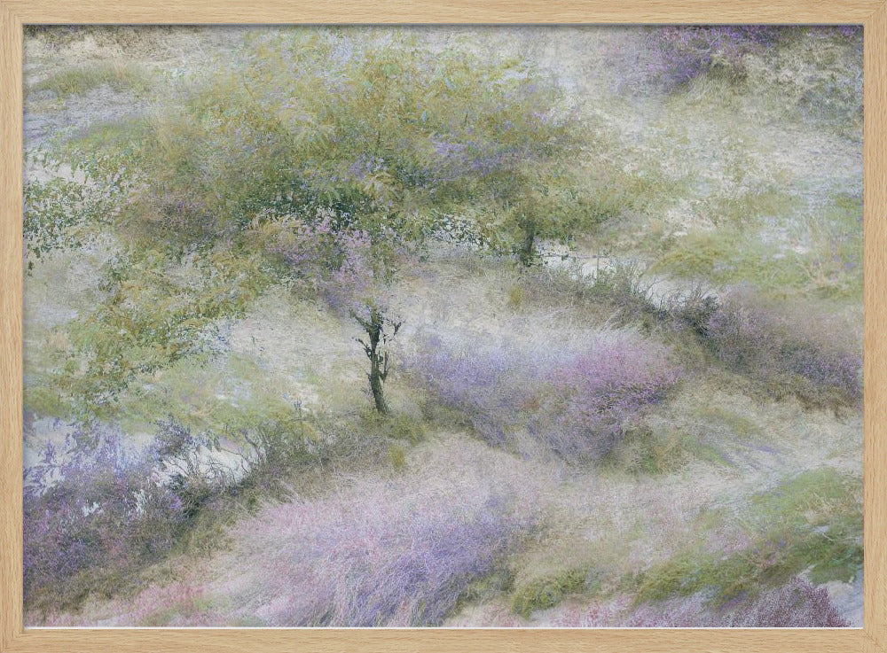 Flowering heather | Poster