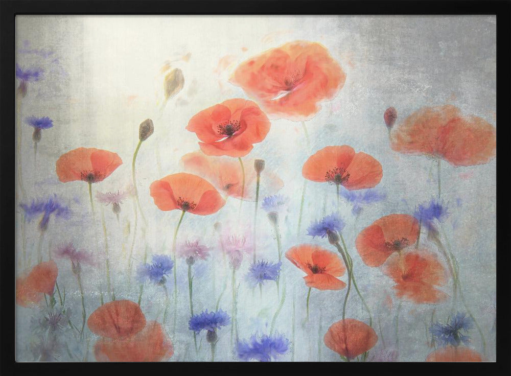 Poppy | Poster