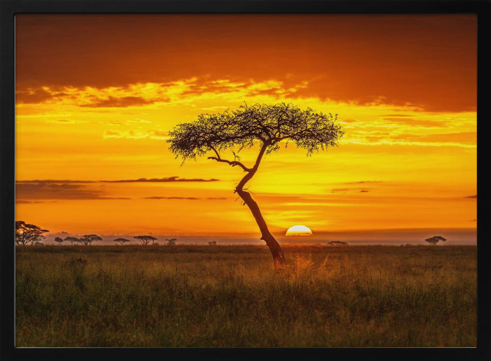 Ursprüngliches Afrika | Poster