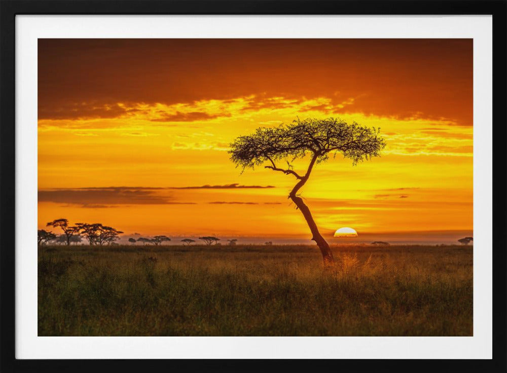 Ursprüngliches Afrika | Poster