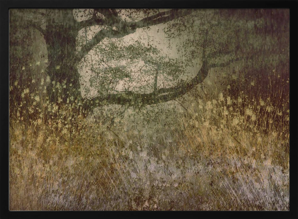 Autumn is coming | Poster