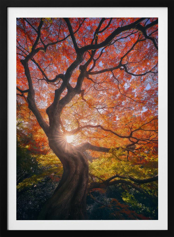 Der japanische Baum | Poster