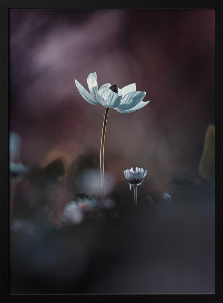 Elles, mes fleurs, émoi | Poster