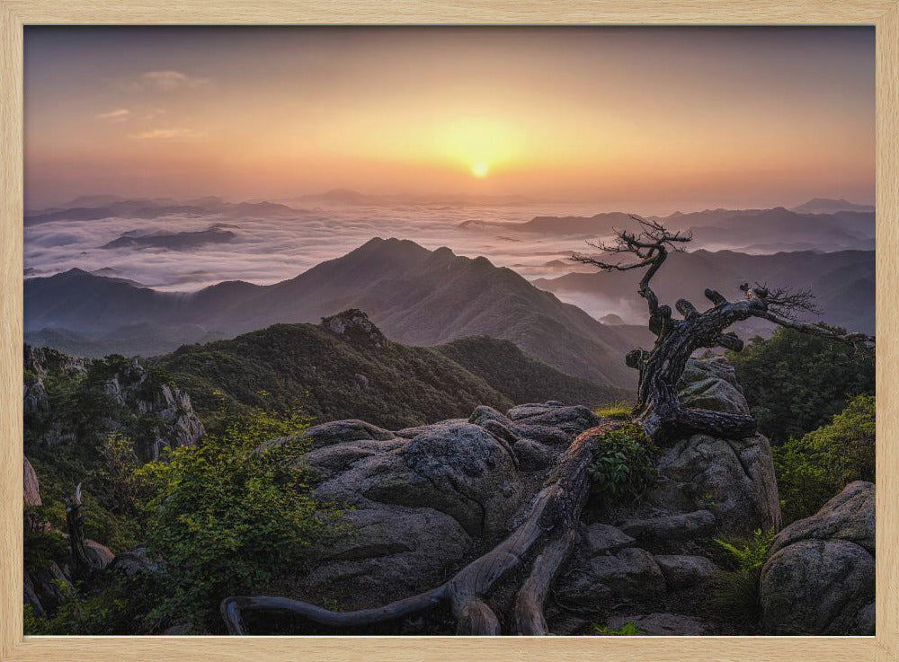 Sunrise on Top | Poster