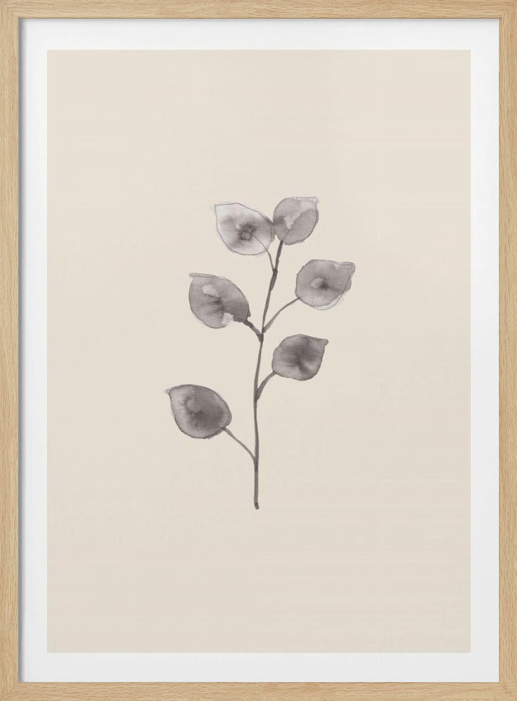 Eukalyptuszweig | Poster