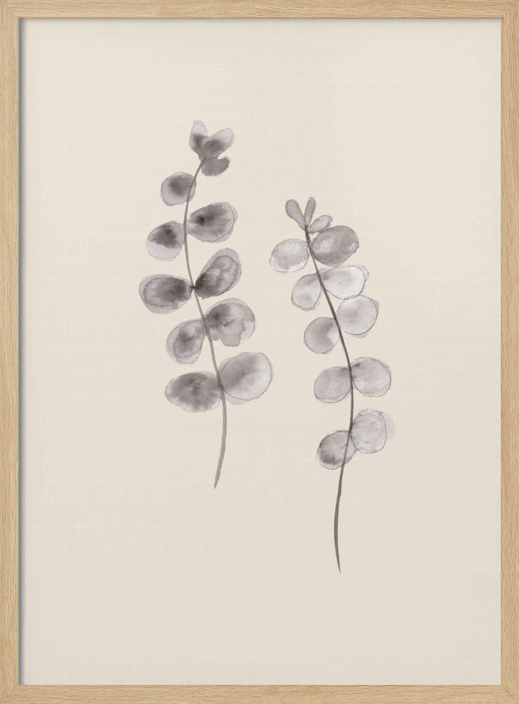 Eucalyptus Twigs | Poster