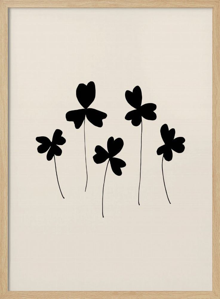 Black Sorrel | Poster