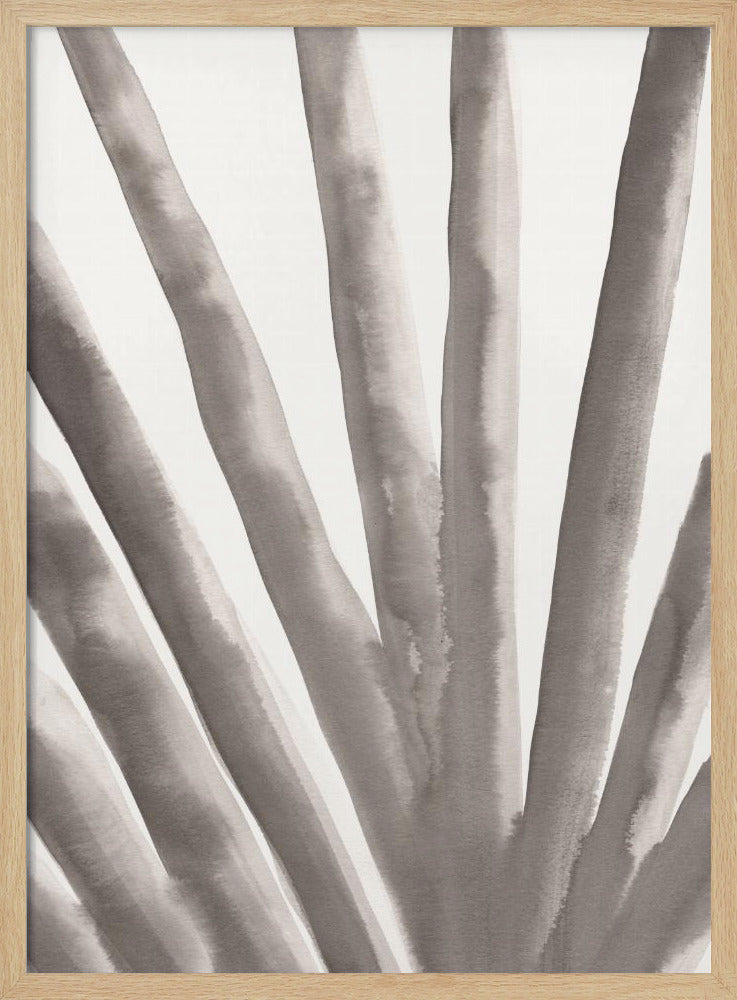 Aloe Vera | Poster
