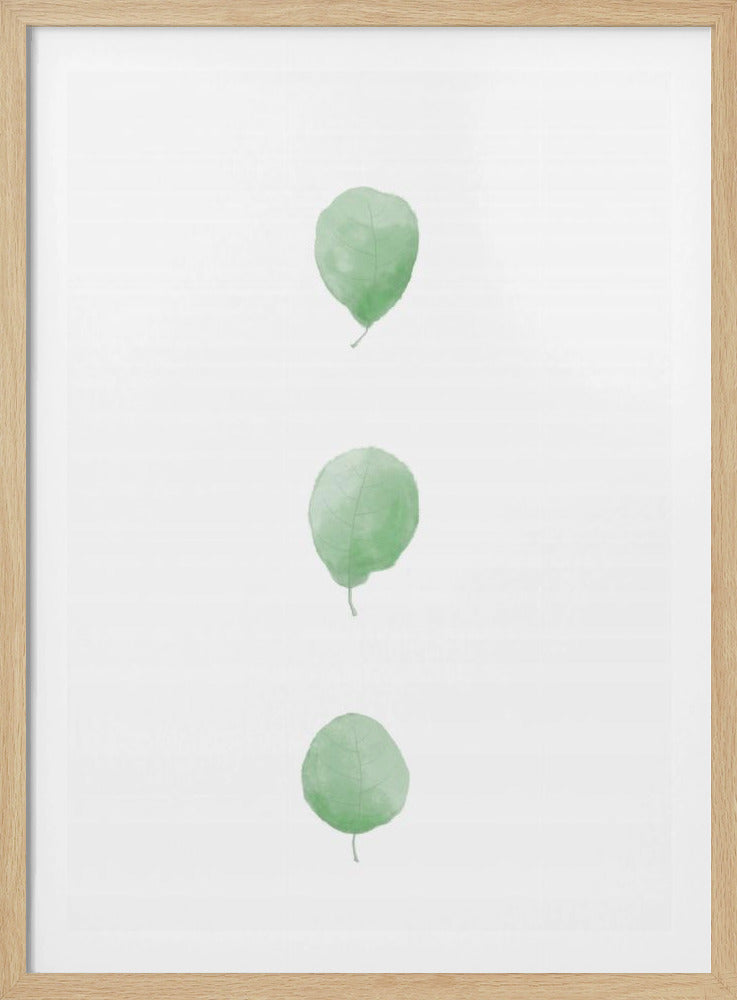 Birkenblätter in Reihe | Poster