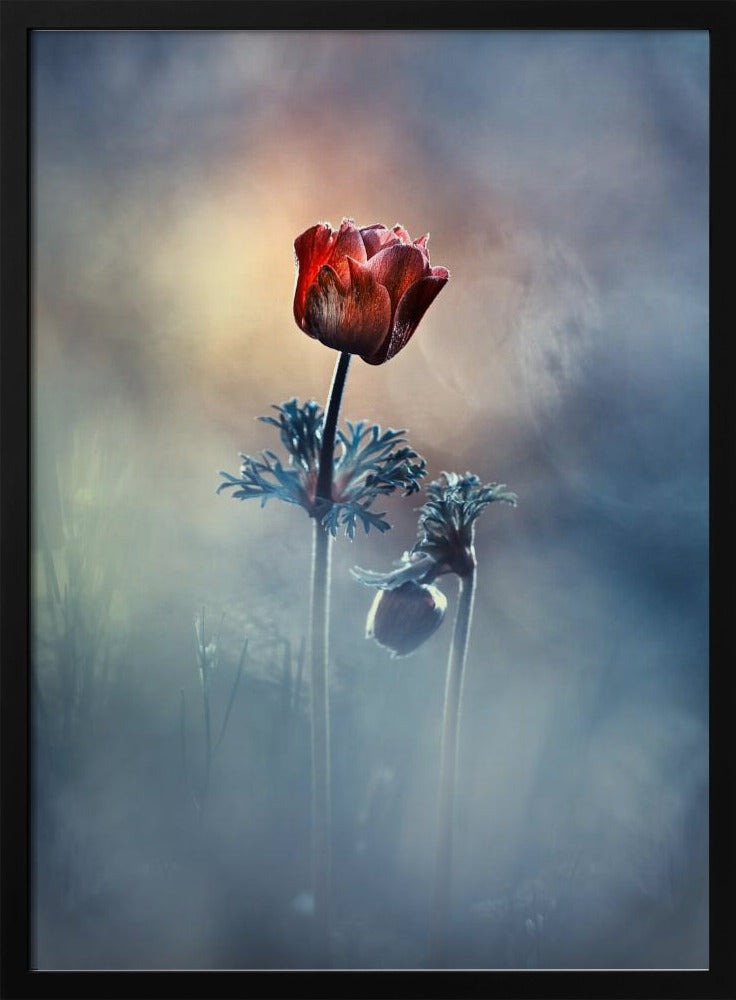 Wo Poesie und Erinnerungen bleiben | Poster