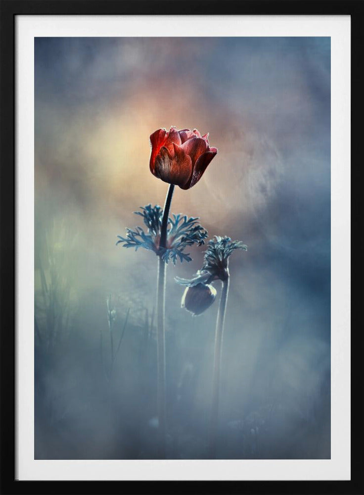 Wo Poesie und Erinnerungen bleiben | Poster