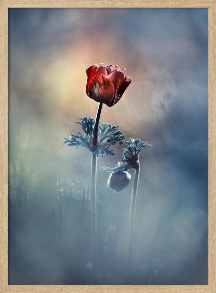 Wo Poesie und Erinnerungen bleiben | Poster