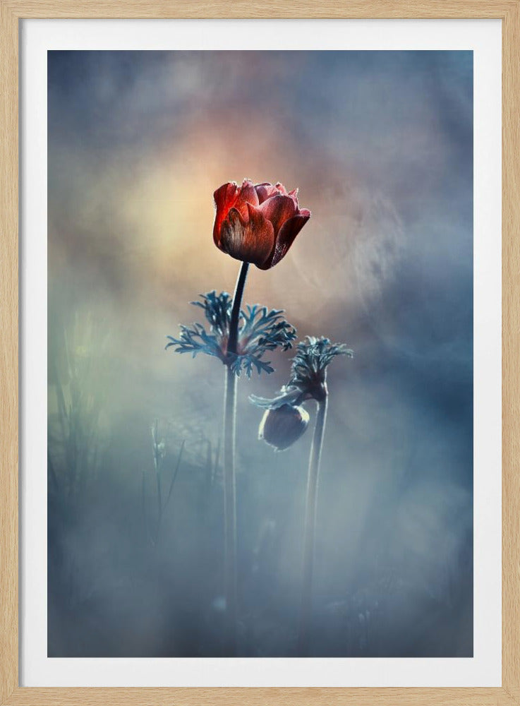 Wo Poesie und Erinnerungen bleiben | Poster