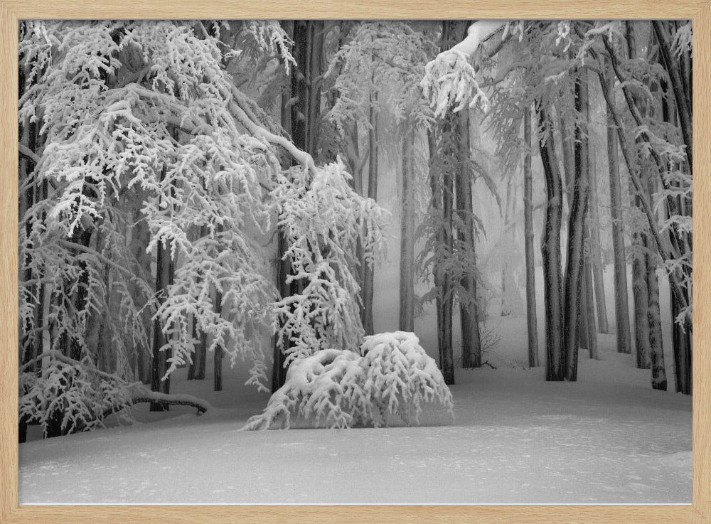 Perfekter Winter | Poster